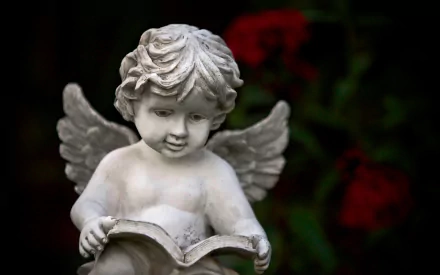 angel statue statue cherub man made Cherub Statue HD Desktop Wallpaper | Background Image