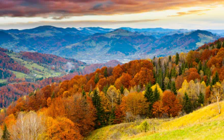 HD wallpaper of a vibrant autumn landscape featuring richly colored trees and rolling hills under a dramatic sky.