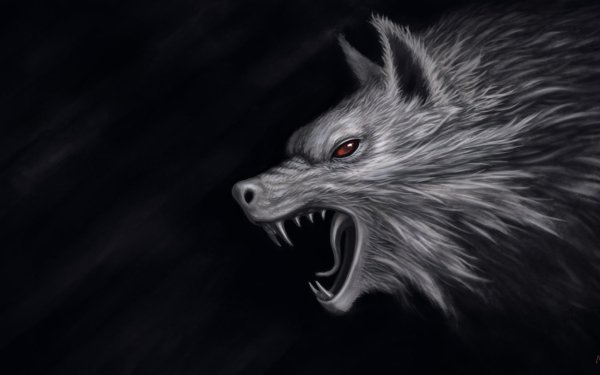Fantasy Wolf Fantasy Animals Dark HD Wallpaper | Background Image