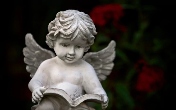 angel statue statue cherub man made Cherub Statue HD Desktop Wallpaper | Background Image