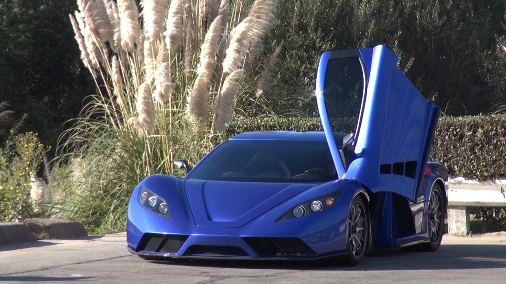 HD PC desktop wallpaper of a sleek blue Kepler Motion vehicle with its door open, parked outdoors among tall grasses and trees.