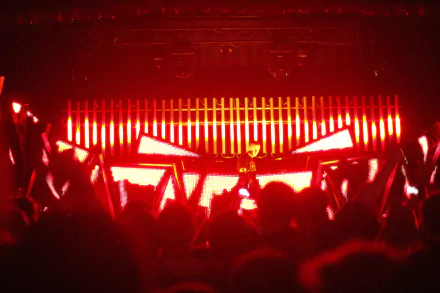 music Feed Me HD Desktop Wallpaper | Background Image