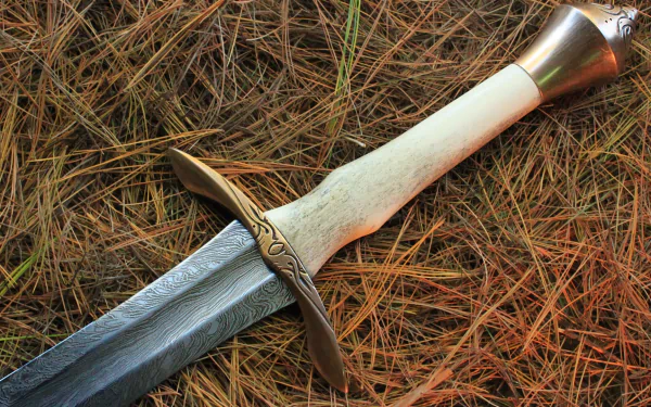 HD desktop wallpaper featuring a detailed man-made sword with a bone-colored handle resting on dry grass.