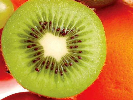 Close-up HD desktop wallpaper featuring a vibrant green kiwi slice with visible seeds, set against a bright orange background.