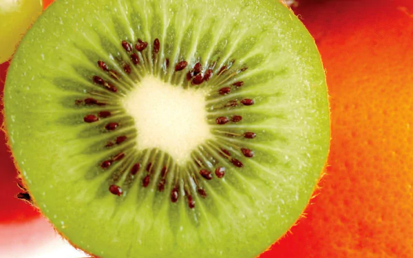 food kiwi HD Desktop Wallpaper | Background Image