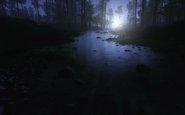 nature forest HD Desktop Wallpaper | Background Image