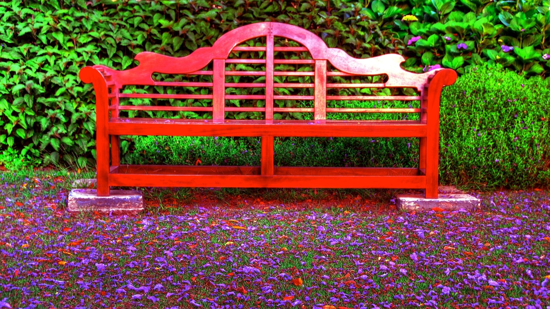 Download Man Made Bench HD Wallpaper | 1920x1080 | Wallpaper Abyss