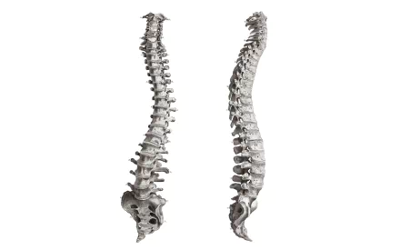 artistic anatomy HD Desktop Wallpaper | Background Image