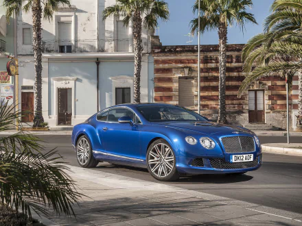A stunning blue Bentley Continental GT Speed, showcasing its elegant fastback design, parked on a sunlit street lined with palm trees and classic architecture. HD wallpaper quality.