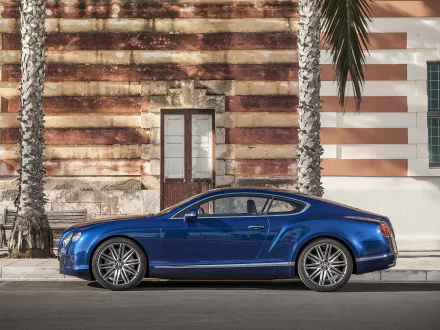 Blue Bentley Continental GT Speed coupé fastback grand tourer parked beside a striped wall and palm trees, captured in an HD desktop wallpaper background.