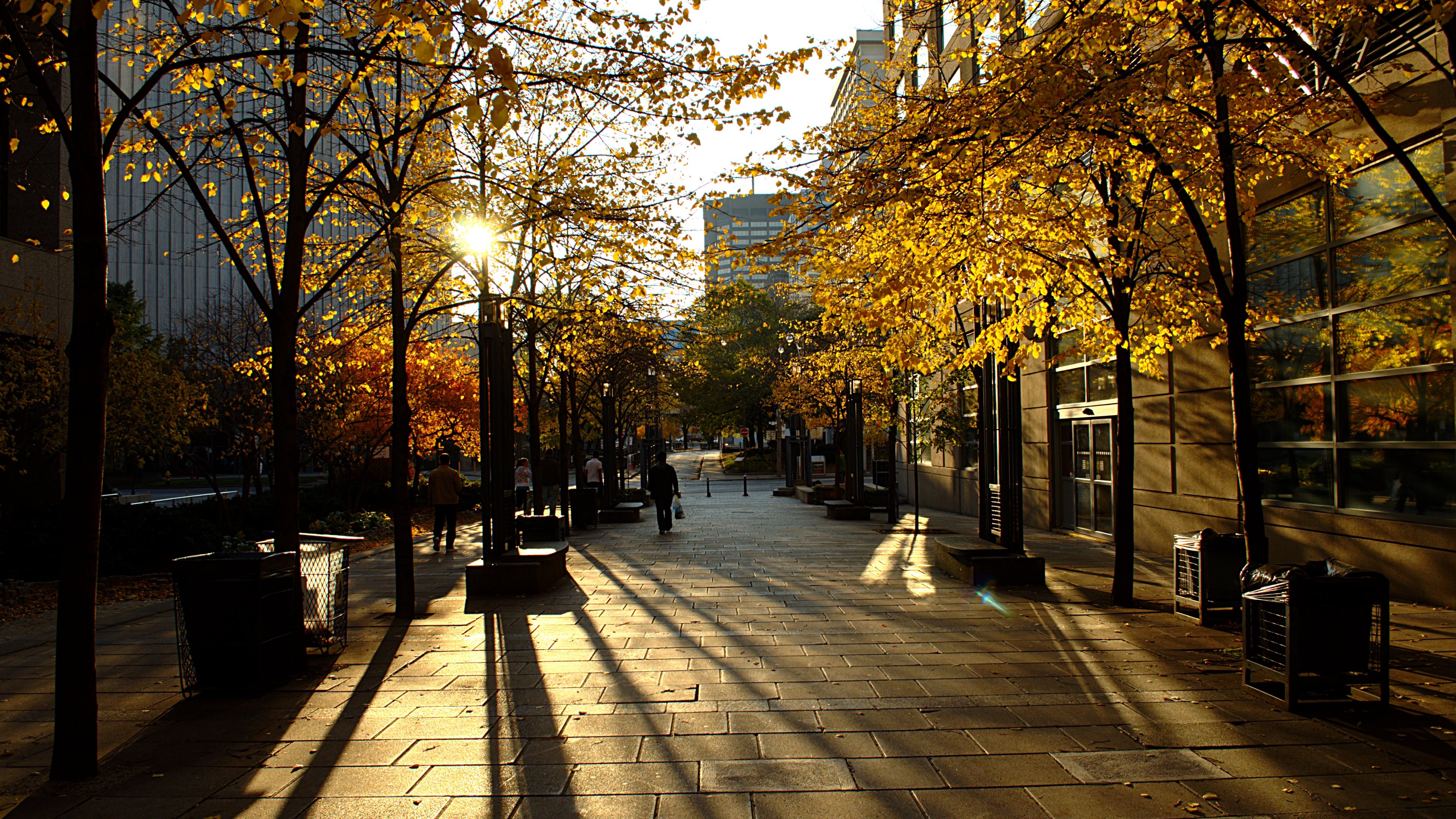 Toronto City 4K HD Wallpapers - Wallpaper Cave