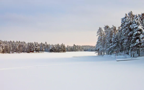 4K Ultra HD PC desktop wallpaper featuring a serene winter landscape with snow-covered trees and a frozen lake under a soft, cloudy sky.