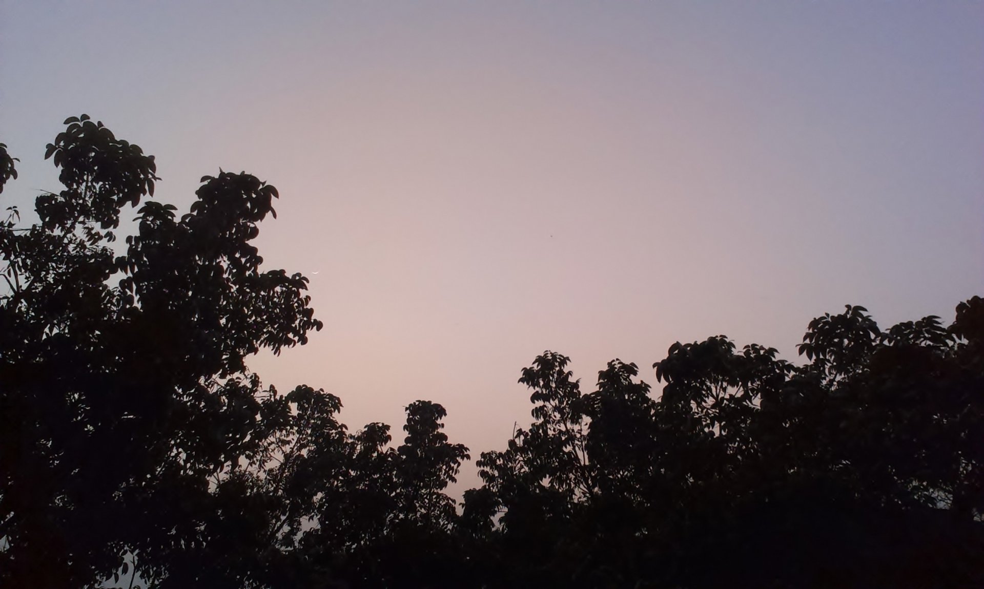 Download Nature Sunset HD Wallpaper