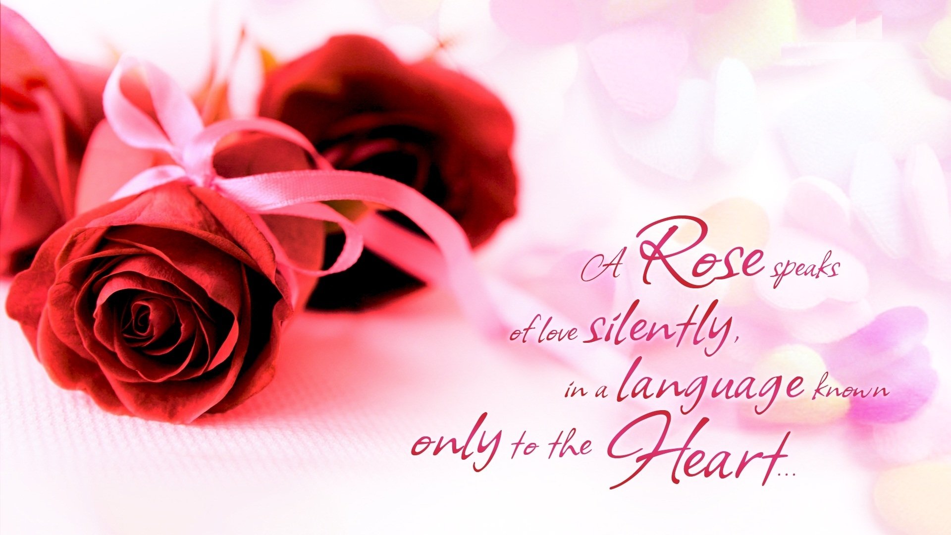 HD artistic desktop wallpaper depicting two red roses with pink ribbons on a soft background, accompanied by the text: A rose speaks of love silently, in a language known only to the heart.
