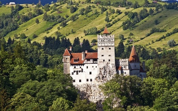 Man Made Bran Castle Castles Romania HD Wallpaper | Background Image