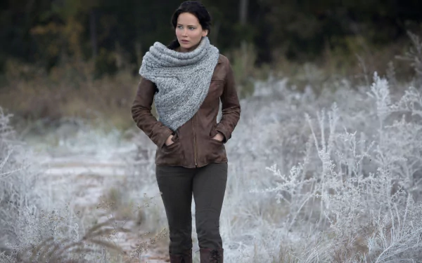 movie The Hunger Games: Catching Fire HD Desktop Wallpaper | Background Image