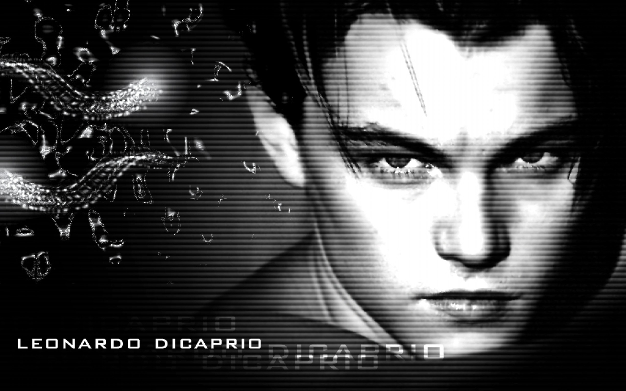 Celebrity Leonardo Dicaprio HD Wallpaper | Background Image