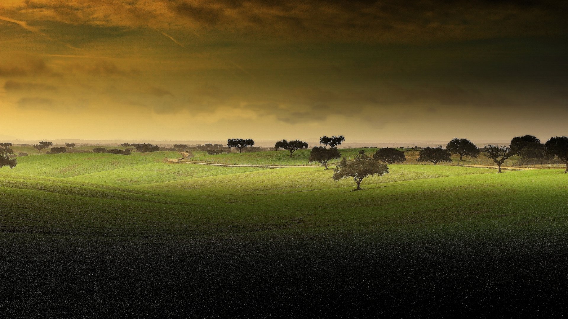 Download Nature Field HD Wallpaper