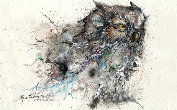 Animal Owl Birds Owls HD Wallpaper | Background Image