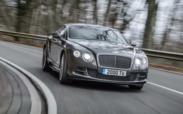 Dark Bentley Continental GT Speed captured front three-quarter, racing along a curved forest road; HD PC desktop wallpaper background.