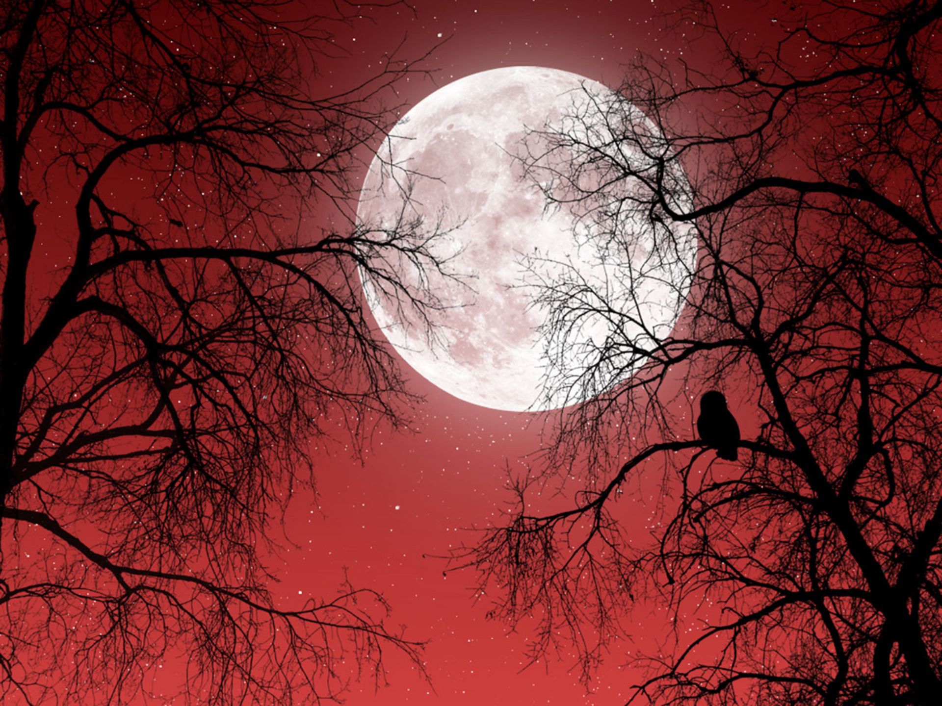 Enigmatic Moon A Sci Fi HD Wallpaper Experience enigmatic-moon-a-sci-fi-hd-wallpaper-experience