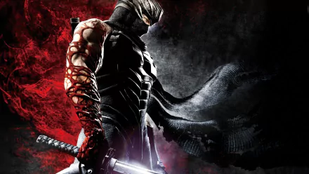 video game ninja gaiden 3 HD Desktop Wallpaper | Background Image