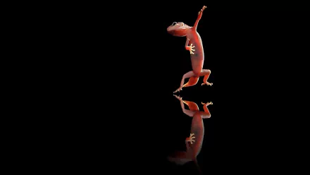 HD desktop wallpaper featuring a vivid gecko standing on a reflective surface against a black background, highlighting its vibrant colors and details.