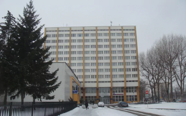 man made brest HD Desktop Wallpaper | Background Image