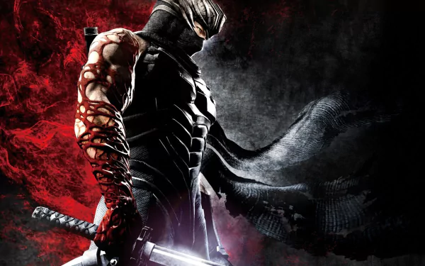 video game ninja gaiden 3 HD Desktop Wallpaper | Background Image