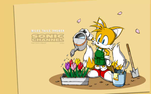 Miles 'Tails' Prower video game Sonic the Hedgehog HD Desktop Wallpaper | Background Image