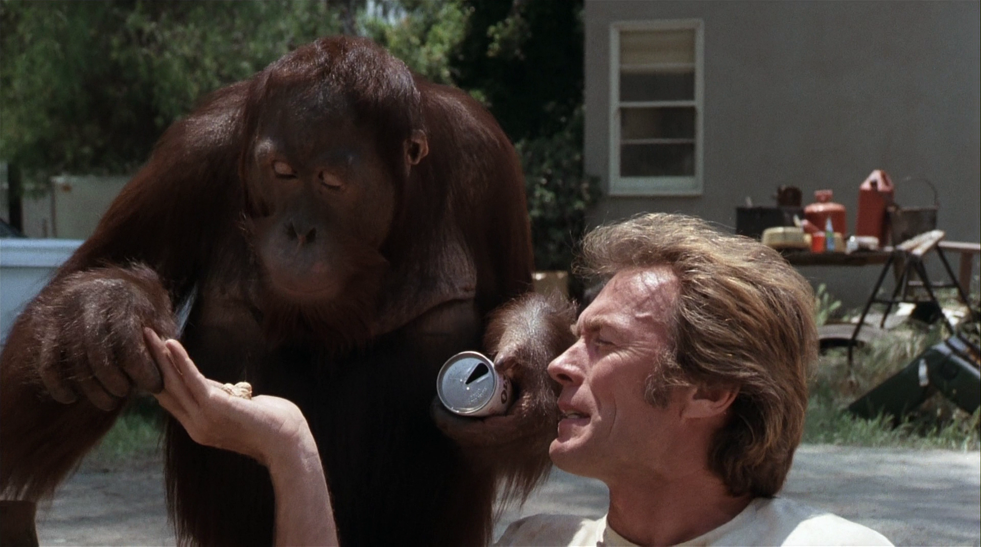 HD PC desktop wallpaper for the movie Every Which Way But Loose: a man outdoors as an orangutan inspects his hand in a suburban backyard scene.