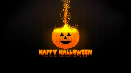 Happy Halloween holiday halloween HD Desktop Wallpaper | Background Image