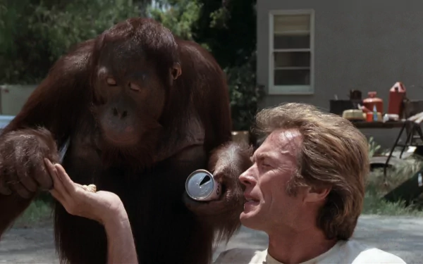 HD PC desktop wallpaper for the movie Every Which Way But Loose: a man outdoors as an orangutan inspects his hand in a suburban backyard scene.