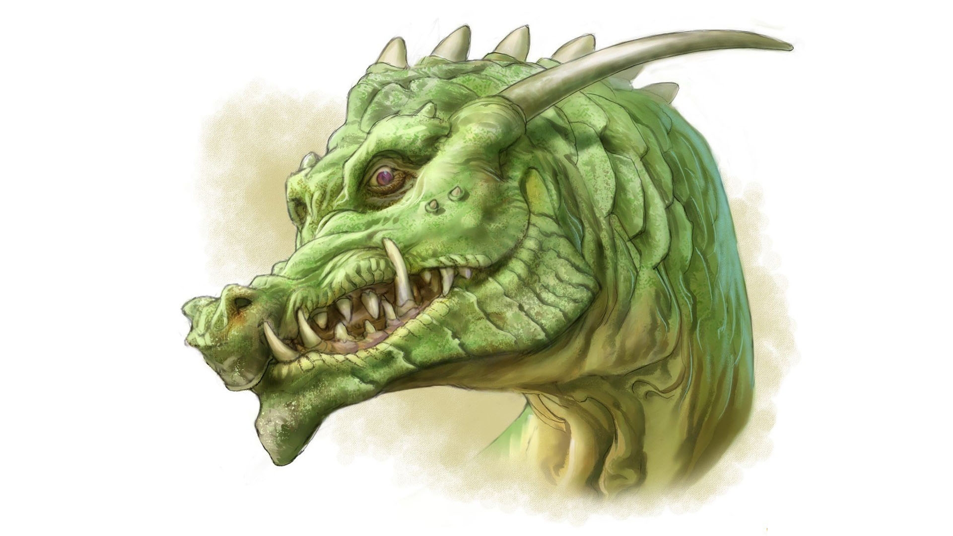 Dragon Full HD Wallpaper and Background Image | 1920x1080 | ID:494158