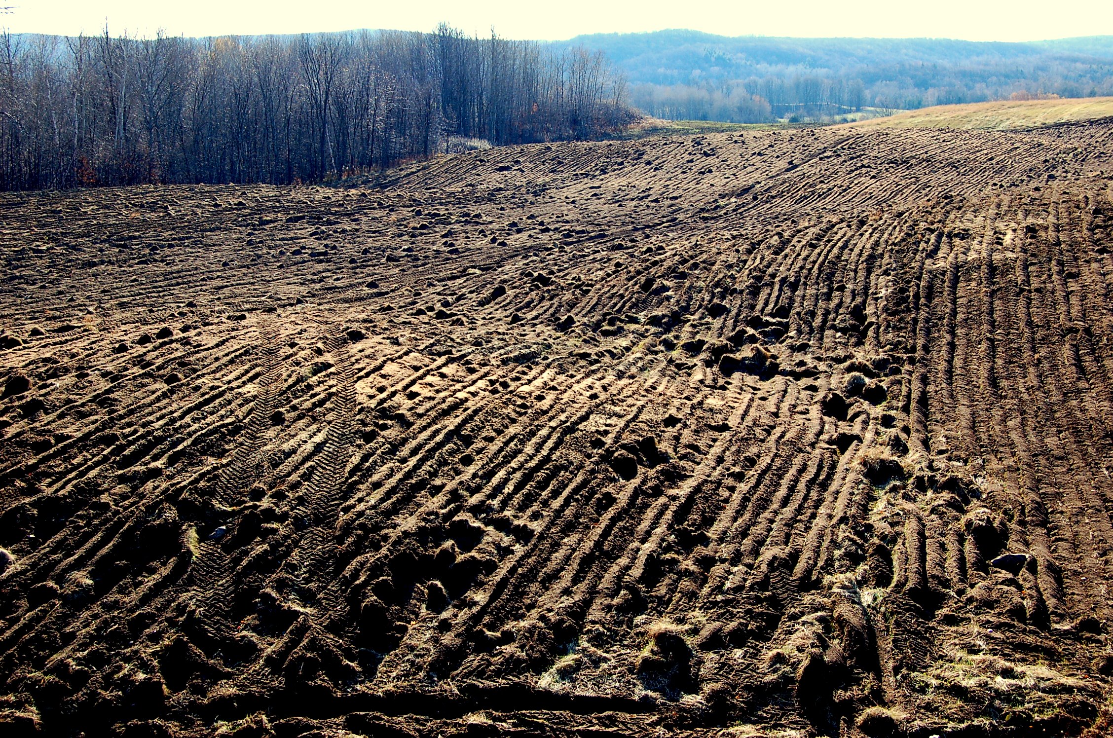 plowed field