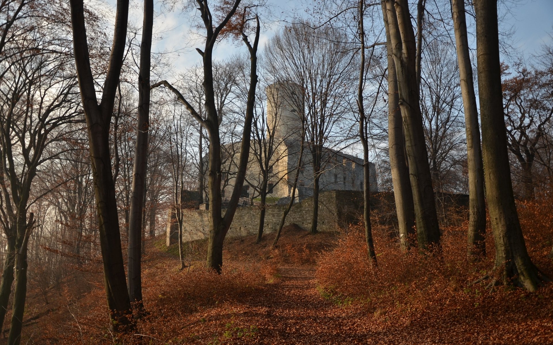 Lipowiec Castle stands on a hilltop surrounded by tall, leafless trees in an autumn forest, captured in a crisp HD desktop wallpaper showcasing man-made architecture.