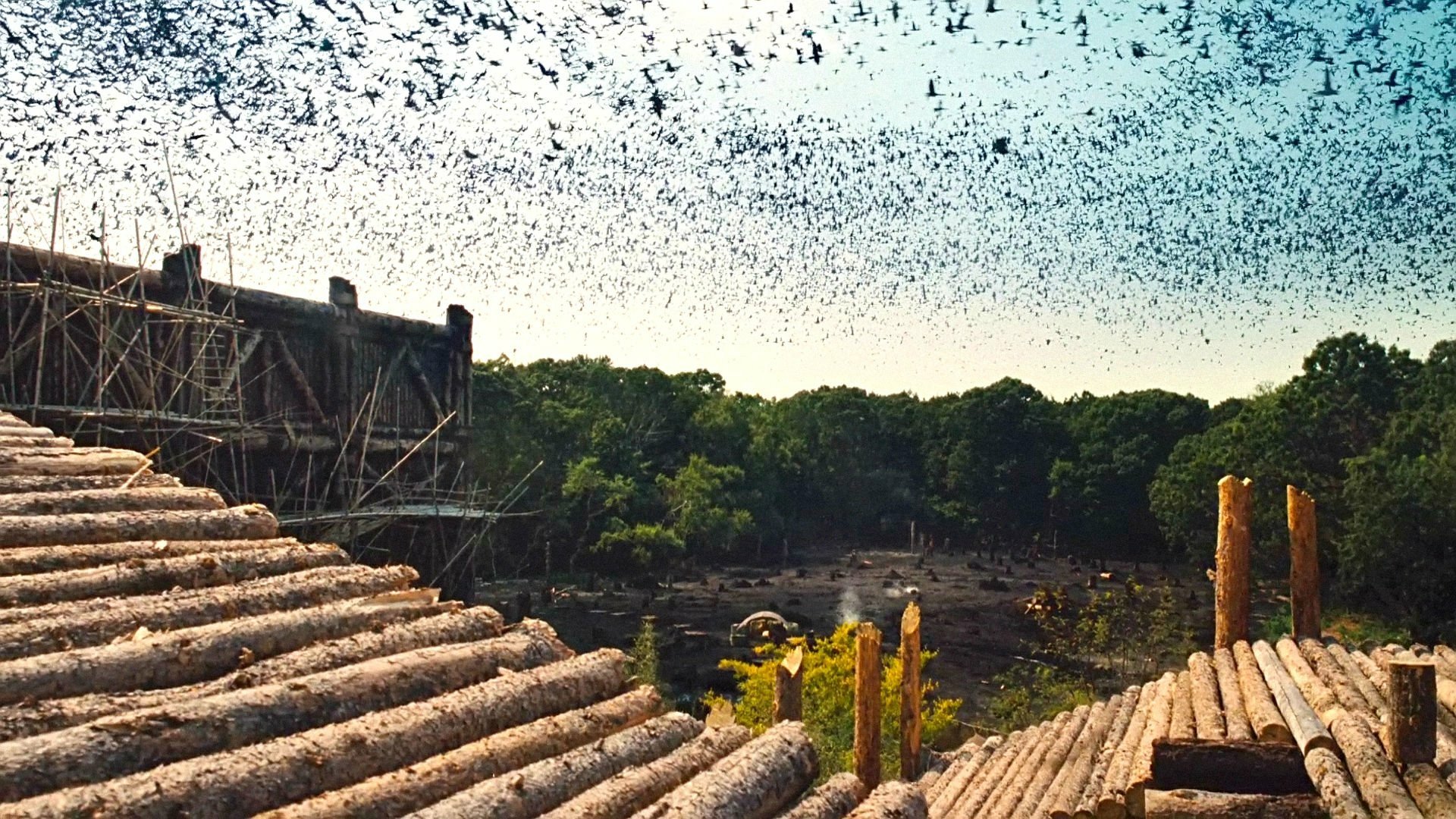 Download Movie Noah HD Wallpaper