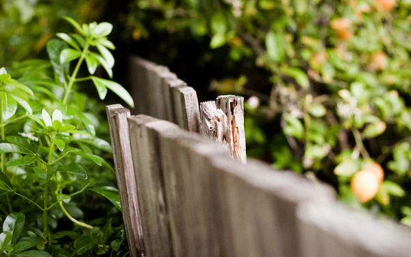 man made fence HD Desktop Wallpaper | Background Image