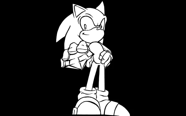Black and white HD PC desktop wallpaper featuring Sonic the Hedgehog from the video game, striking a confident pose with folded arms.