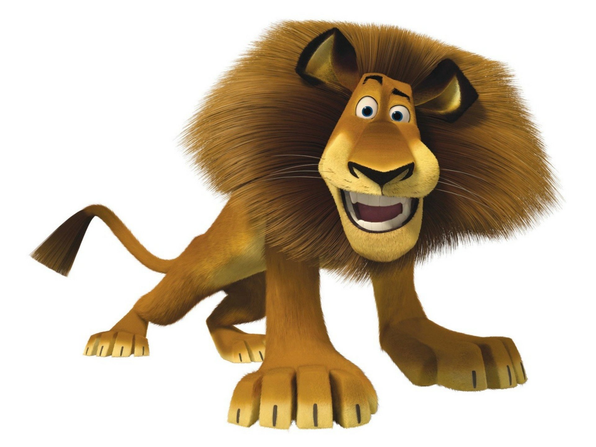 madagascar-papel-de-parede-hd-plano-de-fundo-1920x1440-id-498953