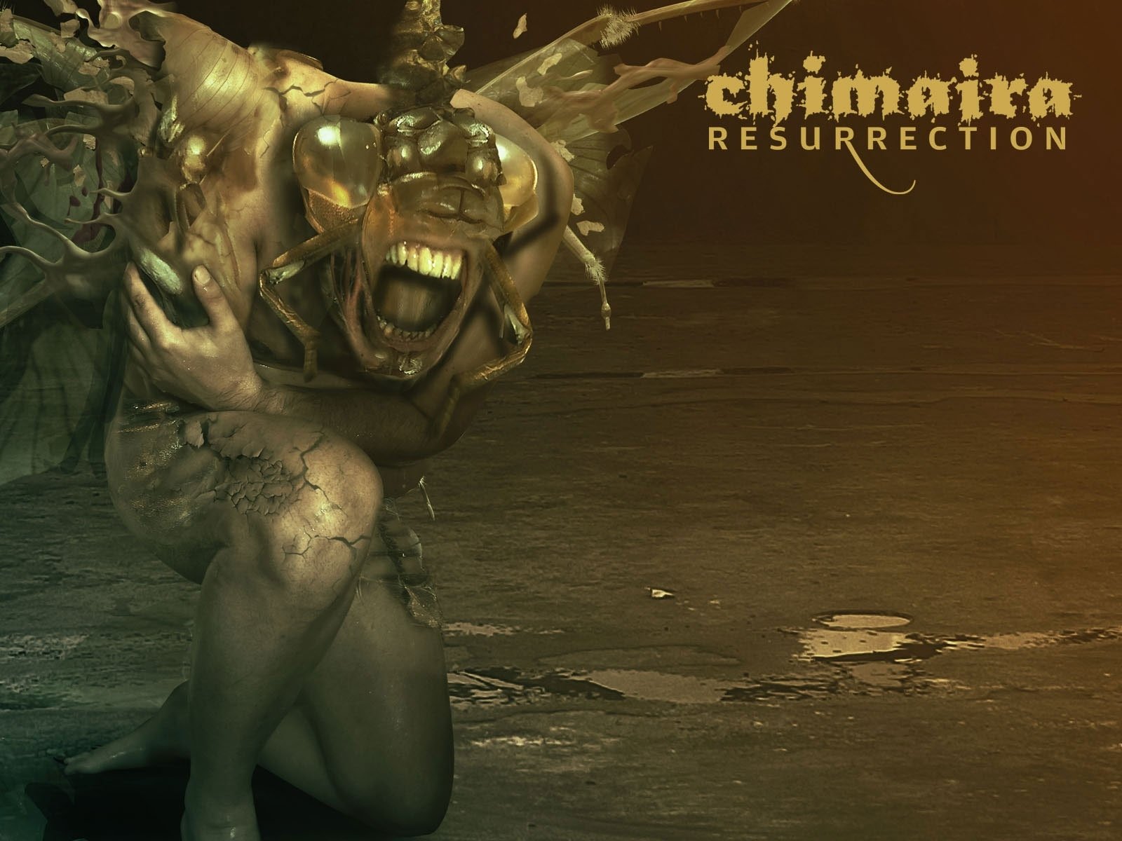 chimaira wallpaper