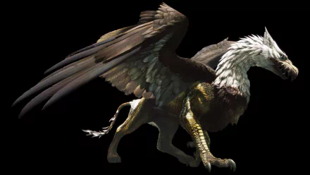 HD PC desktop wallpaper from the video game Dragon's Dogma: Dark Arisen featuring a detailed griffin with dark wings and a white-feathered head against a black background.