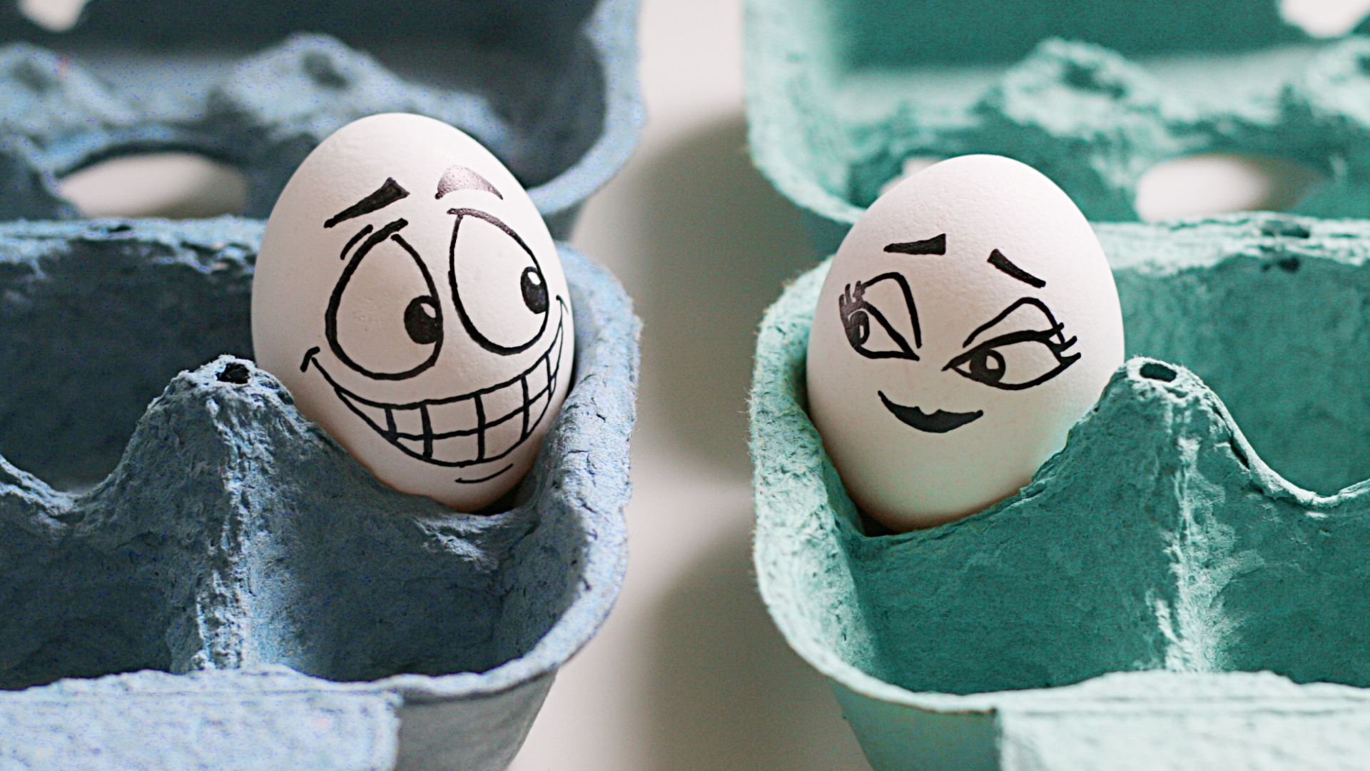 Humor Egg HD Wallpaper | Background Image