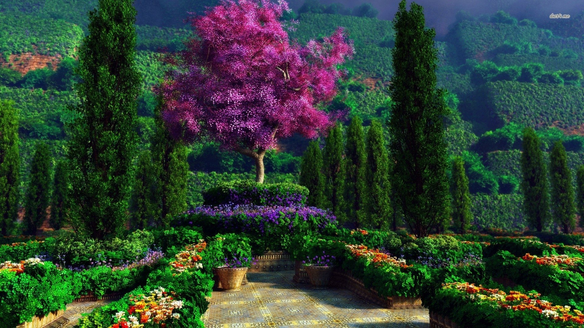 Garden HD Wallpaper | Background Image | 1920x1080 | ID ...