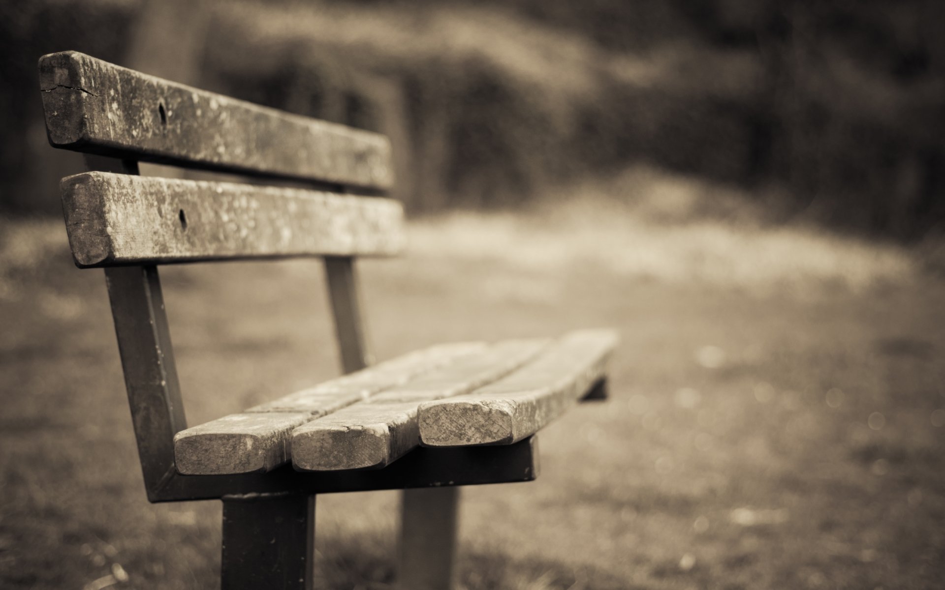 Download Man Made Bench HD Wallpaper | 2560x1600 | Wallpaper Abyss