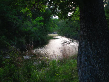 4K Ultra HD PC desktop wallpaper of a tranquil creek/river in nature, sunlit water winding through trees and lush green foliage.