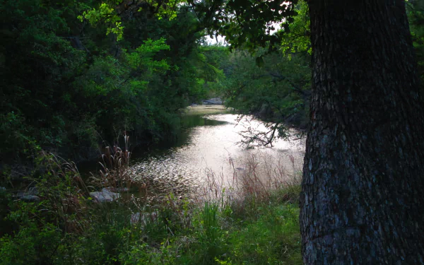  My creek