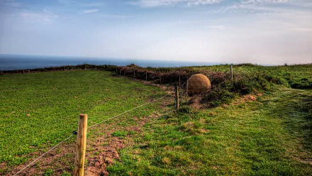 man made Alderney Stone HD Desktop Wallpaper | Background Image