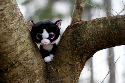 A man-made Beanie Boos plush cat with large eyes perched between tree branches, shown in an HD PC desktop wallpaper and background.