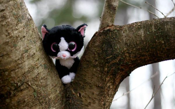 A man-made Beanie Boos plush cat with large eyes perched between tree branches, shown in an HD PC desktop wallpaper and background.
